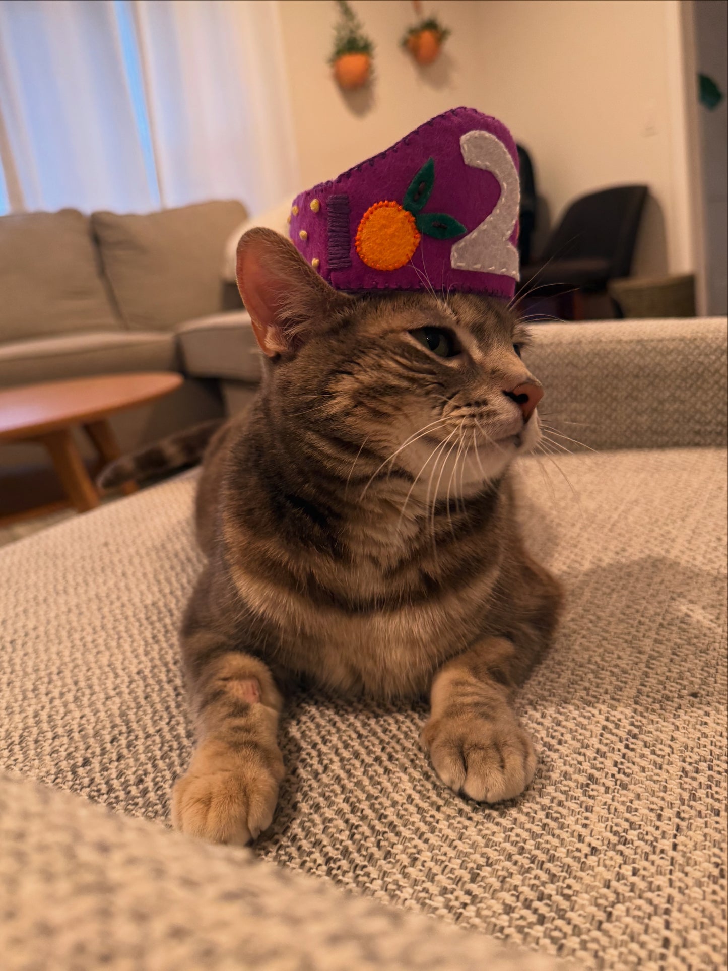CUSTOM: Doll/Pet Crown