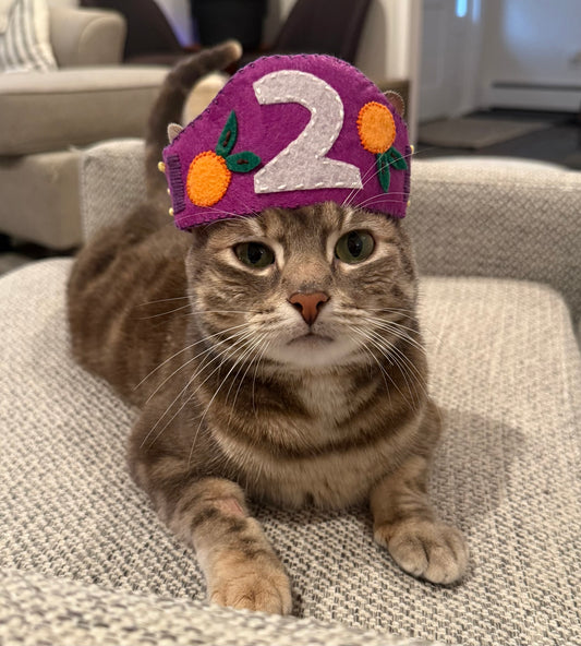 CUSTOM: Doll/Pet Crown